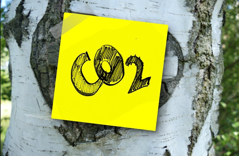 How Carbon Dioxide Affects The Environment