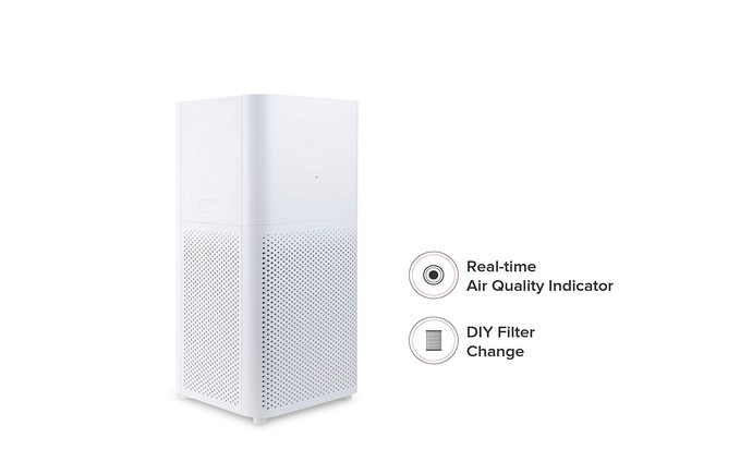 Allergy 101 – FAQs before Buying an Air Purifier