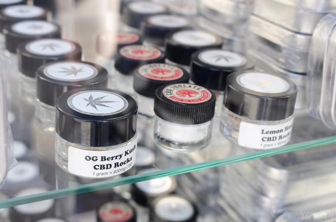 CBD Isolate vs CBD Flower: Which is Better?