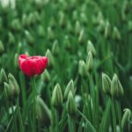 Stand Out from the Crowd with Experiential Marketing