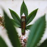 What to Consider When Looking For the Best Kratom Vendors