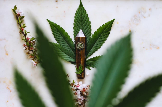 What to Consider When Looking For the Best Kratom Vendors