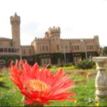 Want to Explore the Best of Bangalore? Here’s How