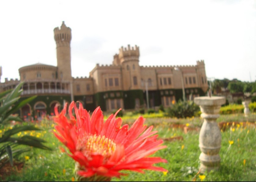 Want to Explore the Best of Bangalore? Here’s How