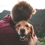 6 Things to Know Before Getting a Service Dog