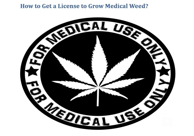 How to Get a License to Grow Medical Weed?