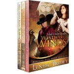 Elements Comprising the Interesting Montana Brides Romance Series