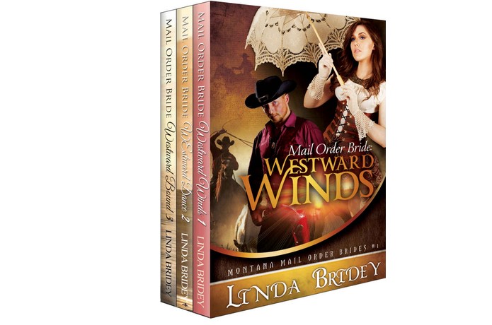 Elements Comprising the Interesting Montana Brides Romance Series