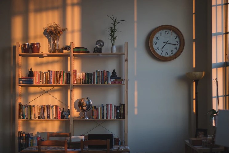 Best Display Shelves for Your Collection