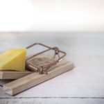 Hiring an Exterminator Vs. DIY: What You Need to Know