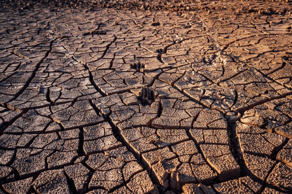 Why is Soil Stabilization Important For New Construction? WorthvieW