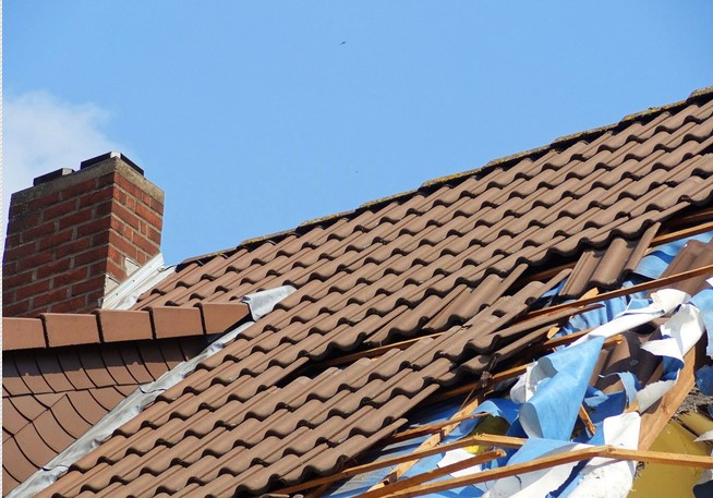 What To Do After a Natural Disaster