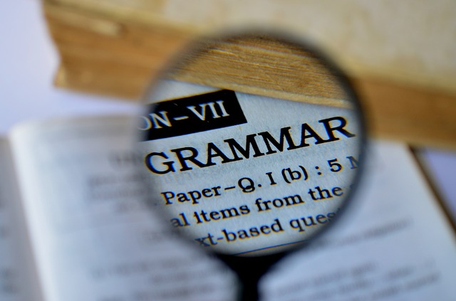 Should You Use a Grammar Checker?