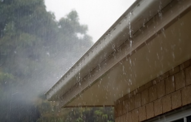 Gutter Cleaning 101 – What Homeowners Need to Know