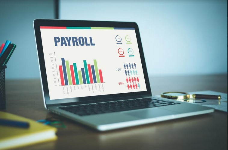 3 Factors to Consider When Choosing Payroll Software