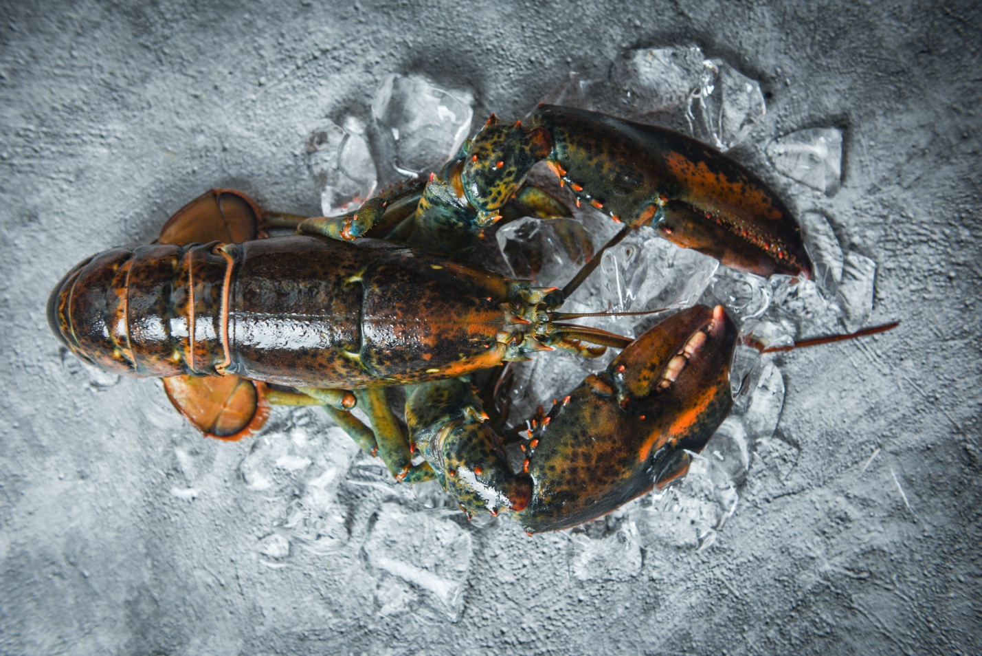 The Perfect Lobster Recipe for Winter
