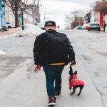 Top Reasons Why You Need Coats for Your Dogs