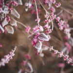 4 Ways to Deal with Dry Skin in the Winter