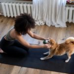 6 Things that Most Dog Owners Carelessly Overlook