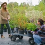 Ideas for Landscaping with Recycled Materials