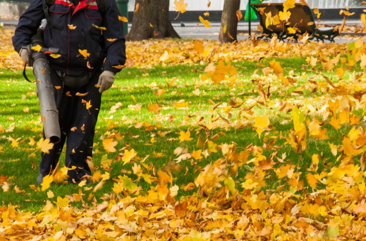 Leaf Blower 1