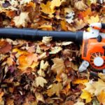 3 Tips When Choosing a Leaf Blower