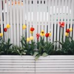 Which Fence Type Should Withstand The Strongest Wind