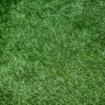 Why You Need Professionals To Install Artificial Turf?