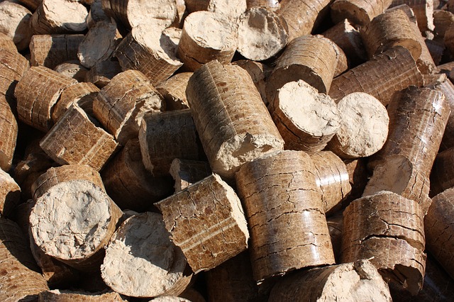 An Indespensible Guide to Wood Briquettes