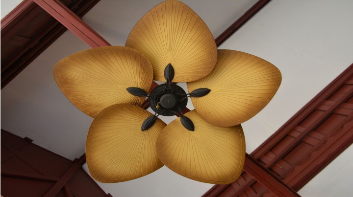 Here’s How to Choose a New Ceiling Fan for Your Home