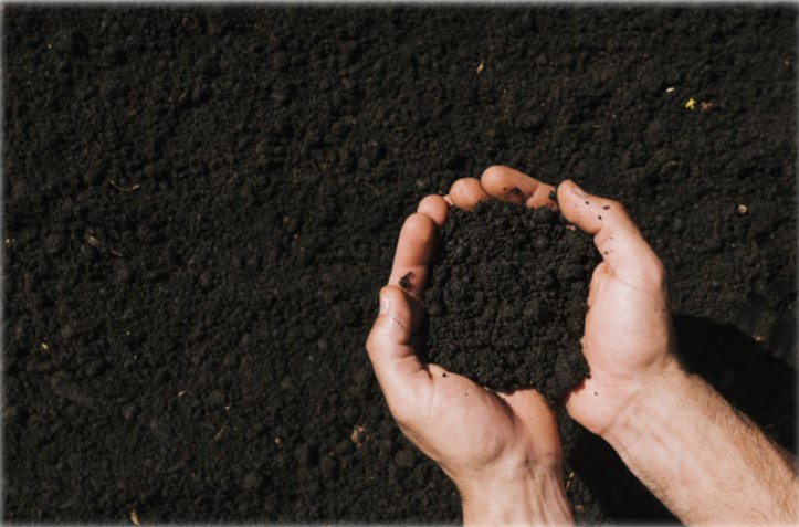 Let’s Explore 6 Secrets To Soil Enrichment For Your Home Garden