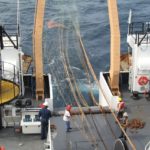 Most In-demand Jobs in 2021