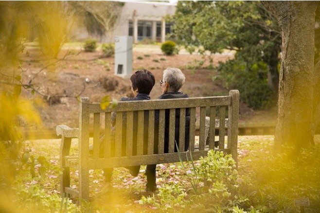 Aged Care Landscape Maintenance: Keeping the Nursing Home Green Yet Safe