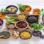 Herbal Detoxes; Turn Back to Nature