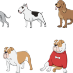 Best Guard Dog Breeds And How To Choose Guard Dogs