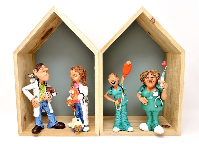 Veterinary Practice Management Problems Everyone Experiences