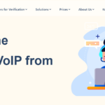 How to Get a Chinese Phone Number?