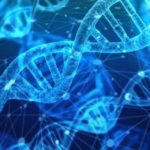 Structural Properties of DNA Explained