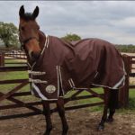 Horse Rugs For Equestrians