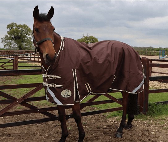 Horse Rugs For Equestrians