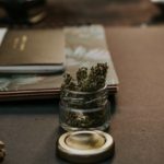 6 Things a First-Time Cannabis Grower Needs