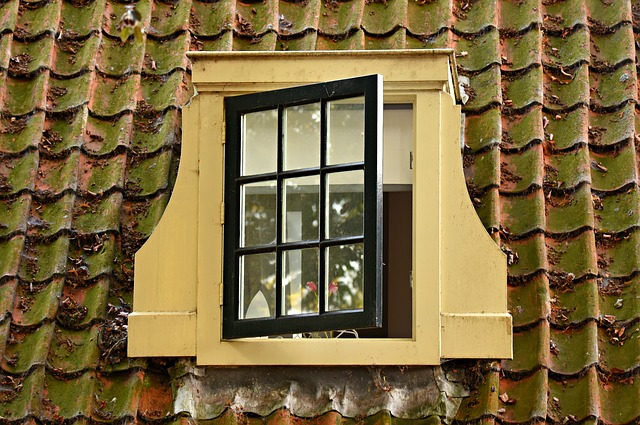 Top Hung Roof Window: What You Should Know!