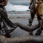 Disaster Mitigation 101: 6 Ways To Solve An Oil Spill