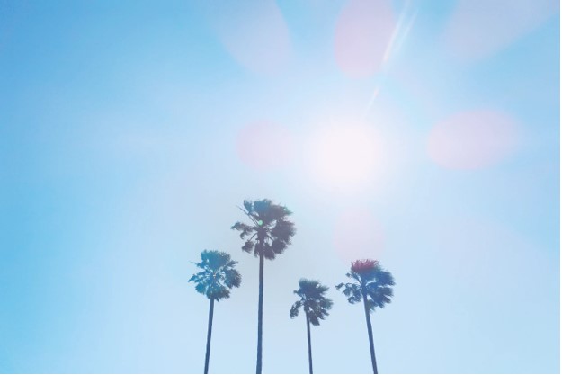 10 Tips to Beat the Heat During A Summer Move