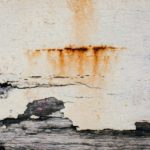 Mold in the Home: Is Mold Harmful to Humans?