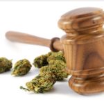 3 Things To Ask A Marijuana Business Attorney Before Opening A Dispensary
