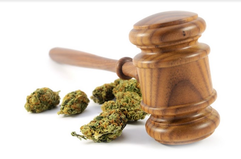 3 Things To Ask A Marijuana Business Attorney Before Opening A Dispensary