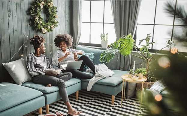 Why Plant Delivery Is Better than Offline Purchase