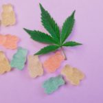 Where To Buy Edibles In Canada?