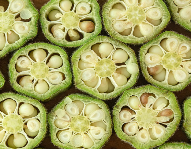 How to Grow Okra At Home